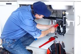 Best Green Plumbing Solutions and Water Conservation  in Mendota Heights, MN